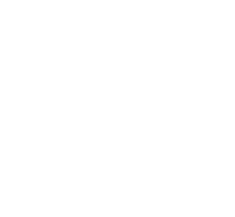 Summit Trail Coaching